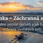 Srí Lanka a záchranná stanice zvířat – Kam jdou peníze turistů a jak funguje ochrana mořských želv?