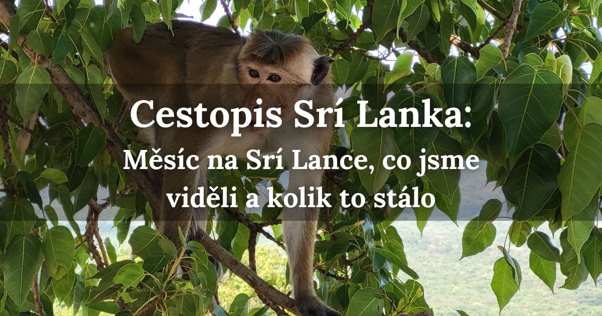Cestopis Srí Lanka: Kolik nás stál měsíc na Srí Lance a co jsme zažili?