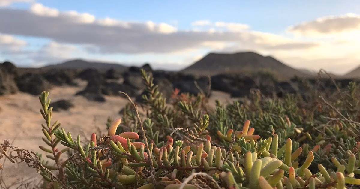 Fuerteventura: Co vidět a Fuerteventura recenze