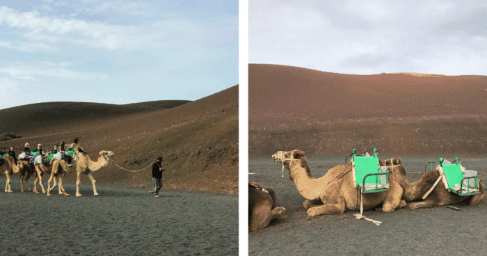 Národní park Timanfaya na Lanzarote: Jak se tady dostat a co si nenechat ujít

