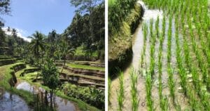 Co vidět na Bali: 40 tipů podle oblastí a itineráře na 1 až 2 týdny