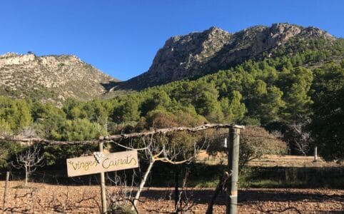 Mallorca co vidět
