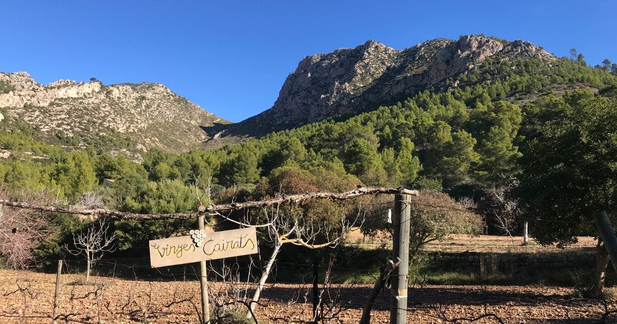 Mallorca počasí: Jaké je počasí na Mallorce v průběhu roku a co podniknout?