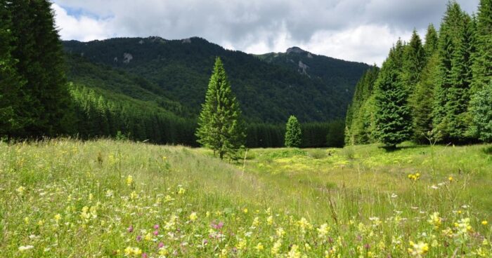 polske-beskydy (2) Polské Beskydy a 12 tipů, kam vyrazit