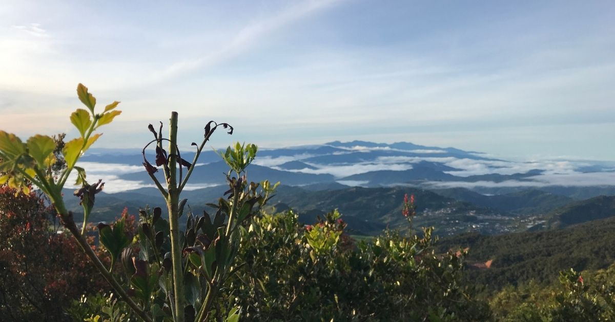 Kota Kinabalu, Borneo