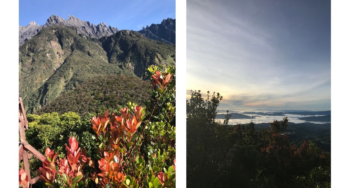 Kota Kinabalu, Borneo