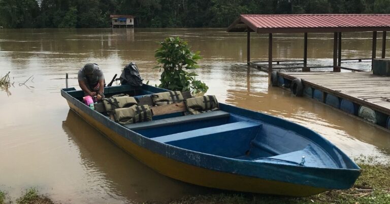 Safari na řece Kinabatangan: dobrodružství v divočině na vla