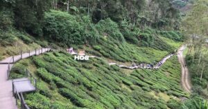 13 míst v Cameron Highlands v Malajsie, které vám vyrazí dech
