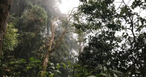 13 míst v Cameron Highlands v Malajsie, které vám vyrazí dech