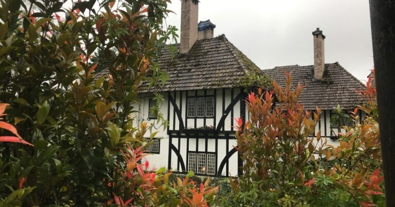 13 míst v Cameron Highlands v Malajsie, které vám vyrazí dec