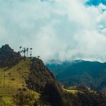 Valle de Cocora in Colombia with wax palm trees