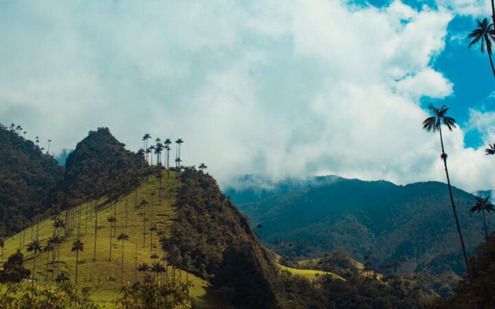 Valle de Cocora a vše, co potřebujete vědět: Průvodce pro cestovatele