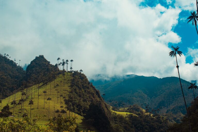 Valle de Cocora a vše, co potřebujete vědět: Průvodce pro ce