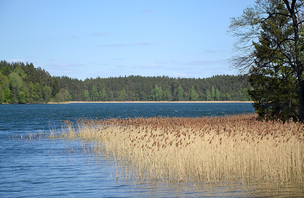 Lake Wigry in Podlaskie Voivodeship, north-east Poland