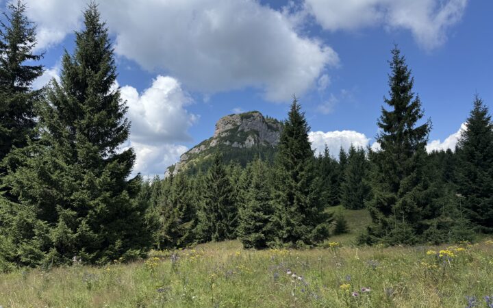 Ubytování Malá Fatra 2026: kde spát v Terchové, Vrátné dolině i na chatách