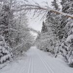 Zasněžená stopa vinoucí se zimním lesem