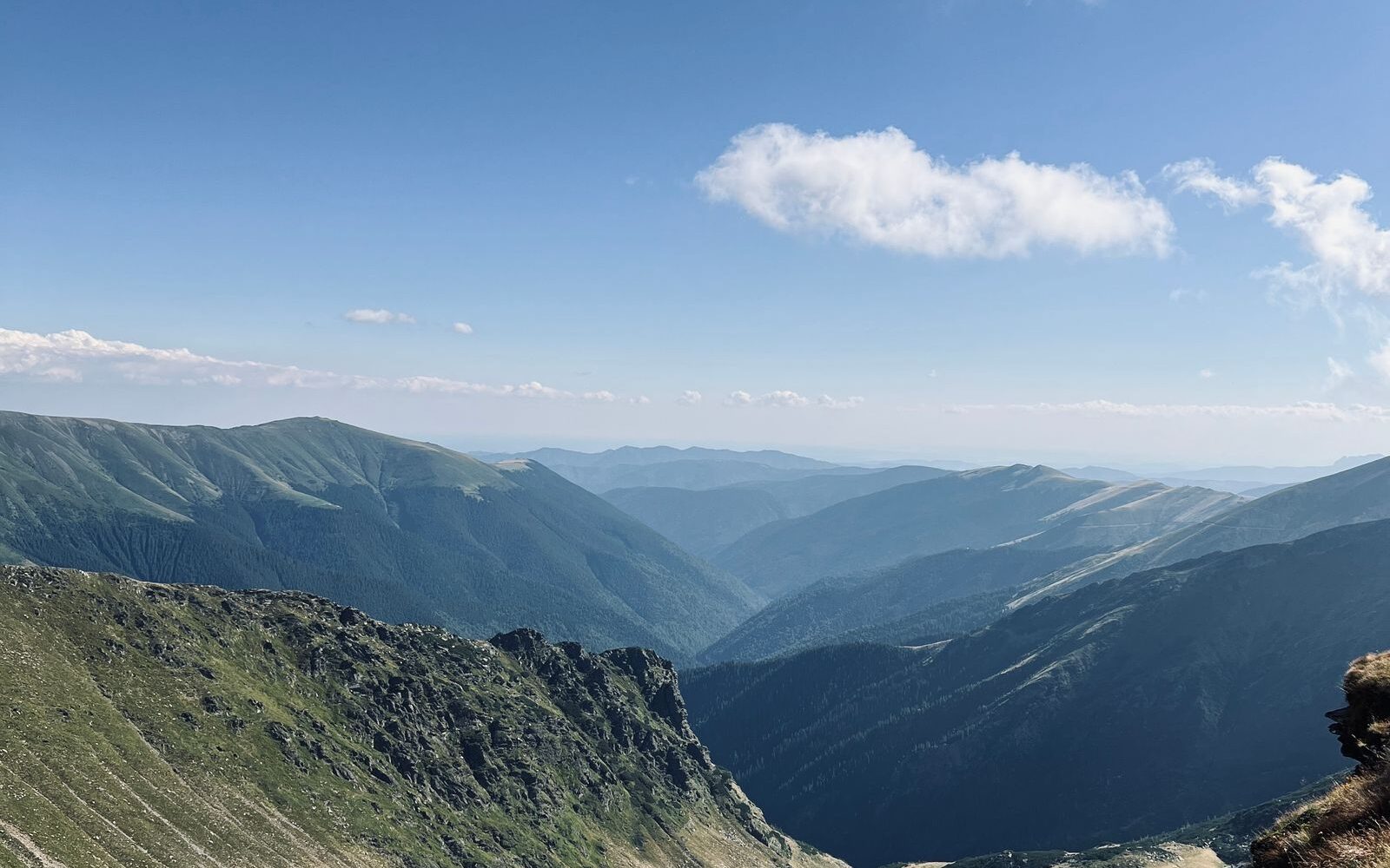 Široké travnaté hřebeny klesající do hlubokých zalesněných údolí