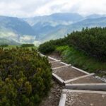 Nízké Tatry v létě