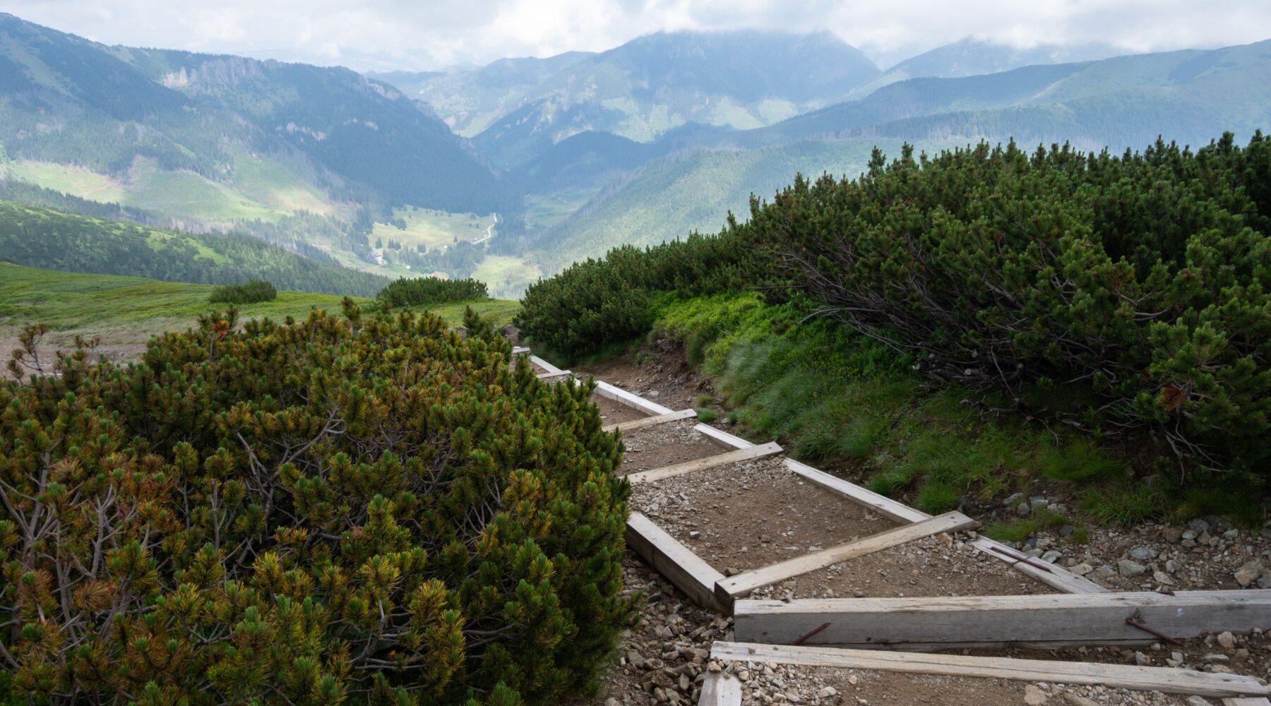 Nízké Tatry v létě