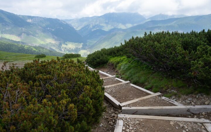 Nízké Tatry výlety: tipy s dětmi, nenáročné túry i program, když prší