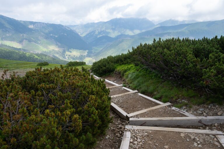 Nízké Tatry výlety: tipy s dětmi, nenáročné túry i program, 