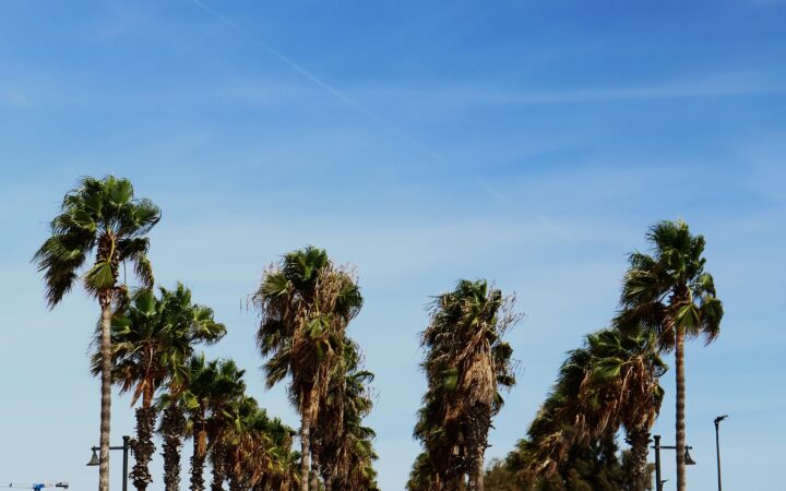 Valencia Beaches: The Best Sand in the City and Nearby