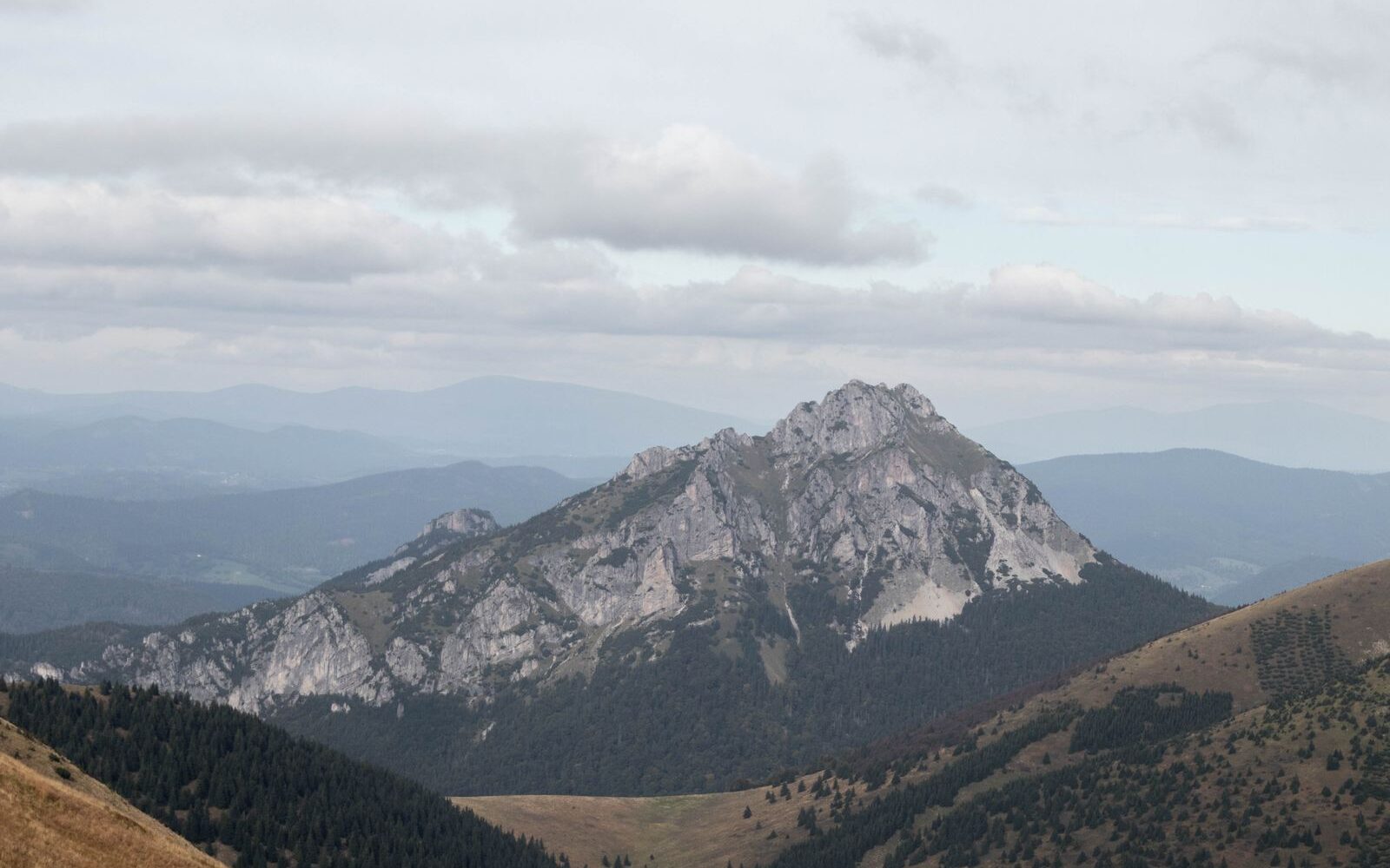 Skalnatý pyramidový vrchol Velkého Rozsutce nad zalesněnými svahy Malé Fatry