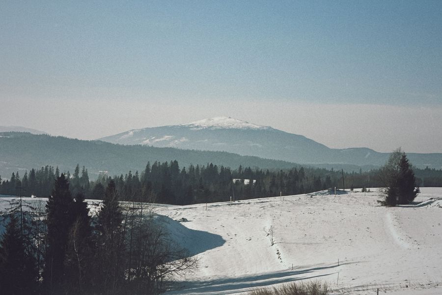 Zimná krajina so zasneženými stromami pod jasnou oblohou