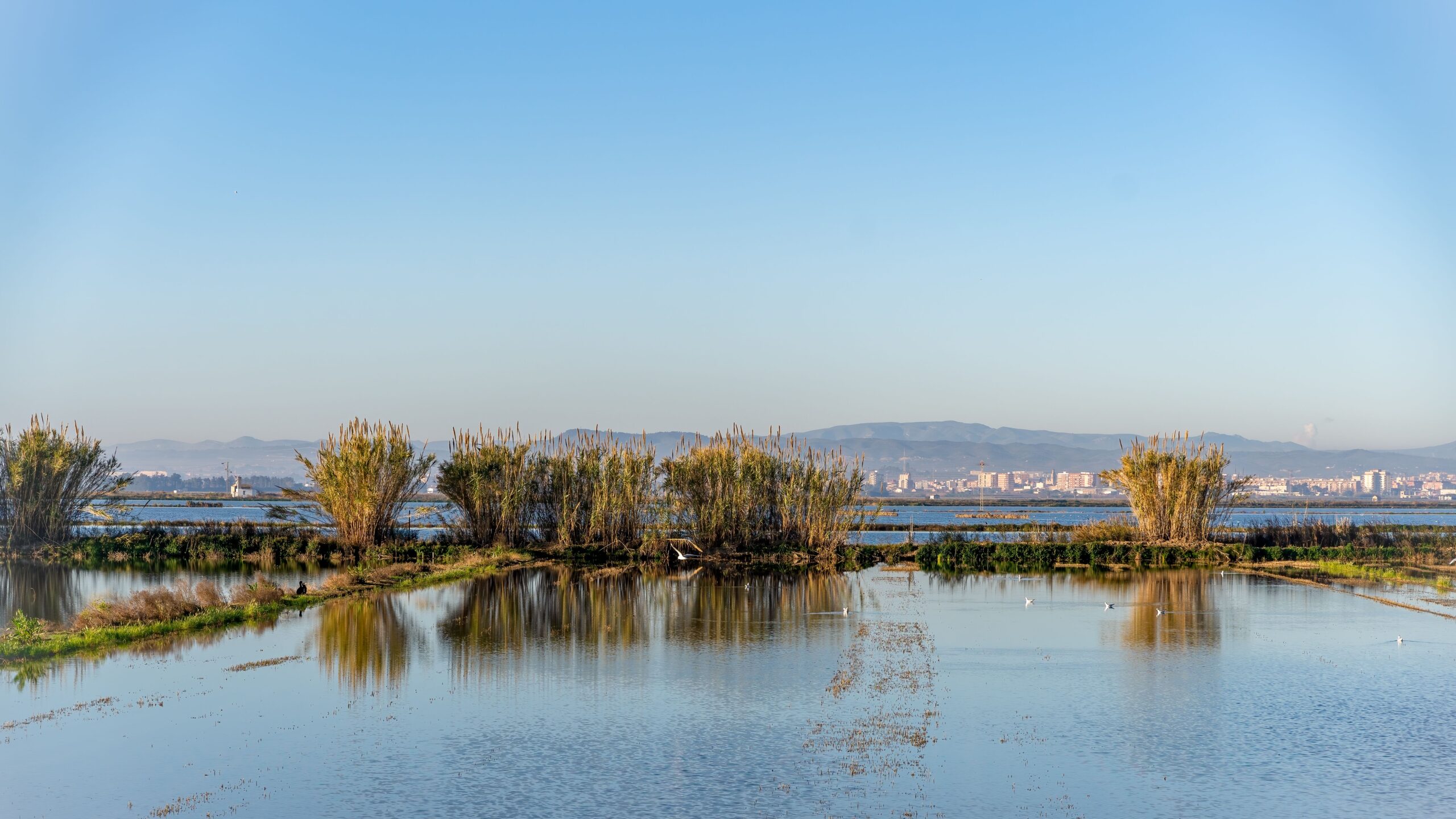 Zaplavené ryžové polia pri Valencii odrážajú oblohu v okolí lagúny Albufera