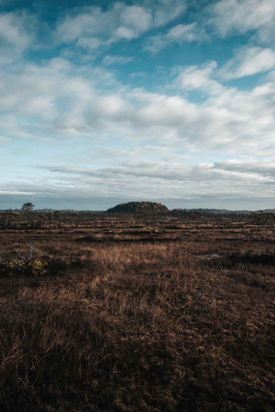 Rozlehlá mokřadní krajina pod dramatickou oblohou