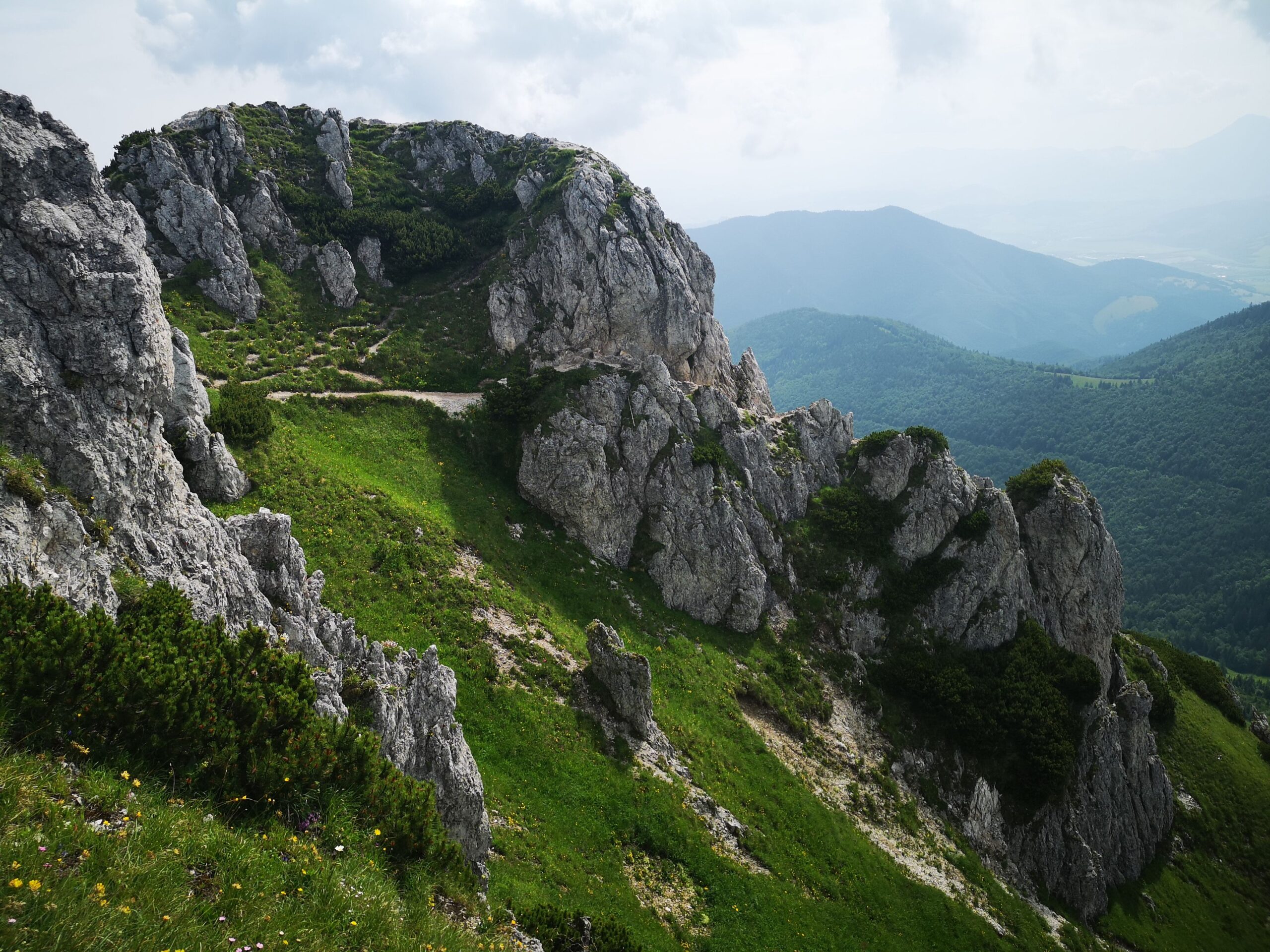 Vápencové skalní věže na hřebeni Malé Fatry s výhledem do zeleného údolí