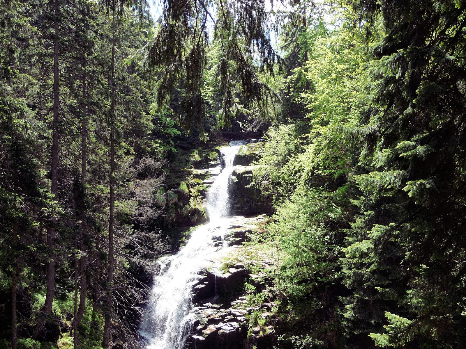 The Kamieńczyk waterfall in woodland in the Polish Karkonosze