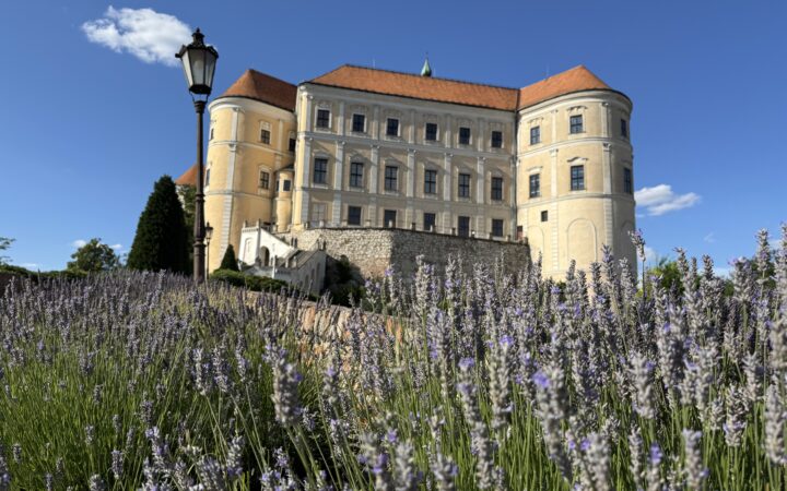 Jak si co nejlépe užít zámek Mikulov: prohlídky, obří sud, zahrada a vstupné