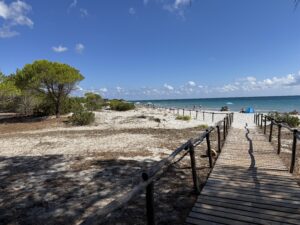 Wooden boardwalk through low pines and white sand to a calm turquoise sea under a blue sky in Sardinia