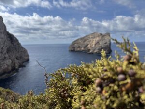 Grotta di Nettuno u Alghera aneb jak vidět ty nejkrásnější jeskyně na Sardinii