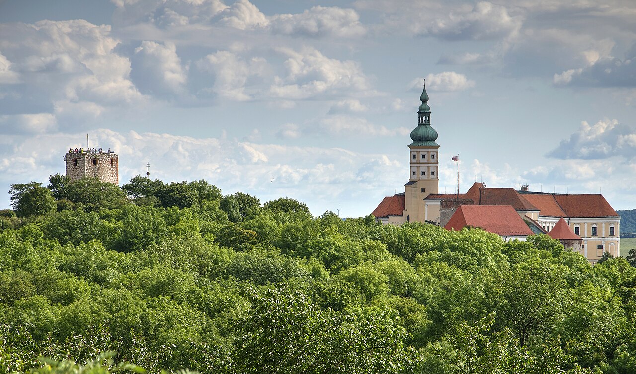 Věž Kozího hrádku a mikulovský zámek nad korunami stromů