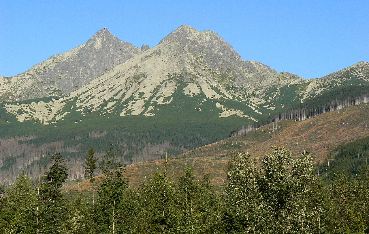 Lomnický a Kežmarský štít nad tatranskými lesy