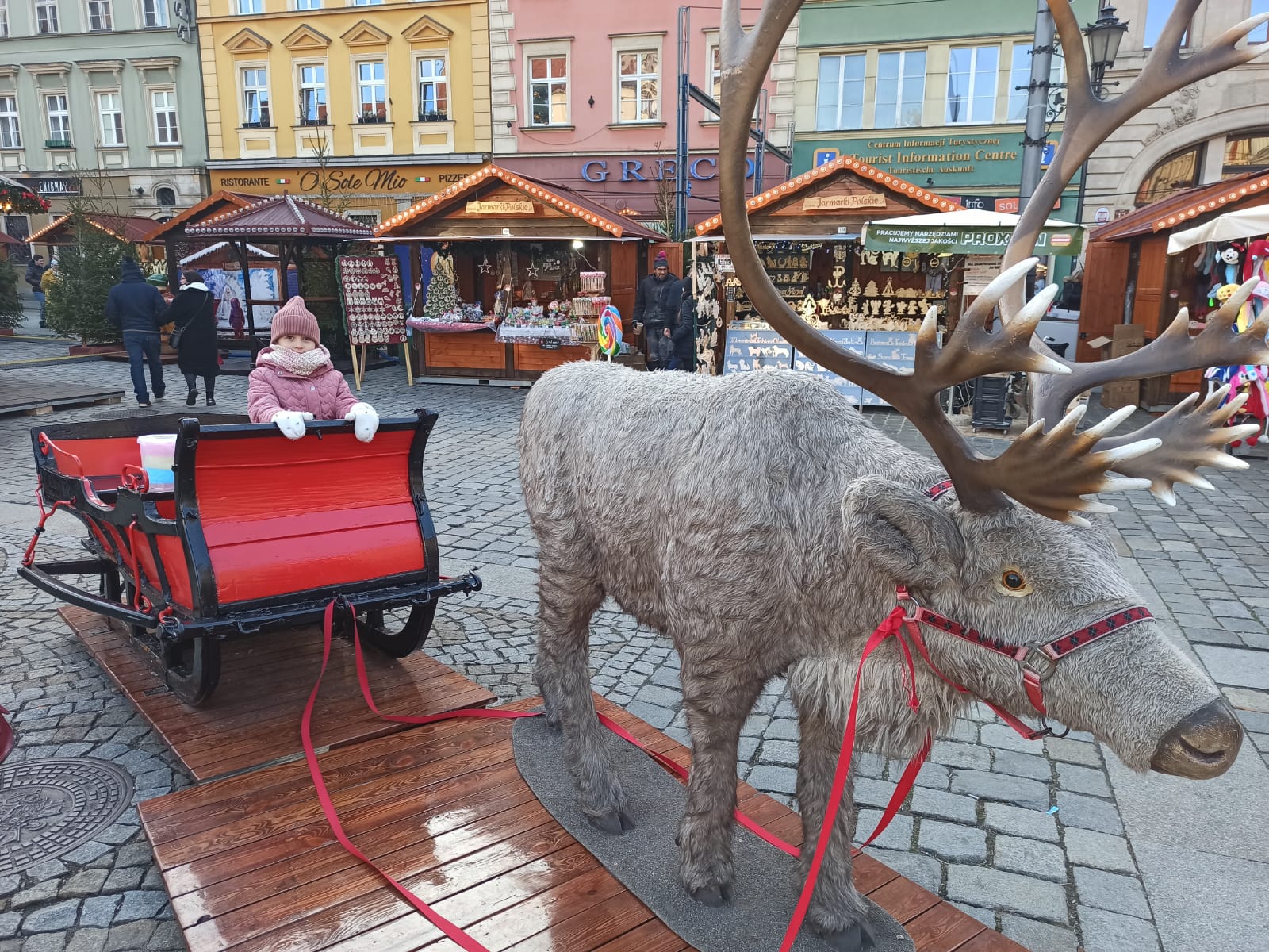 Dítě v saních se sobem na vánočním jarmarku na vratislavském Rynku