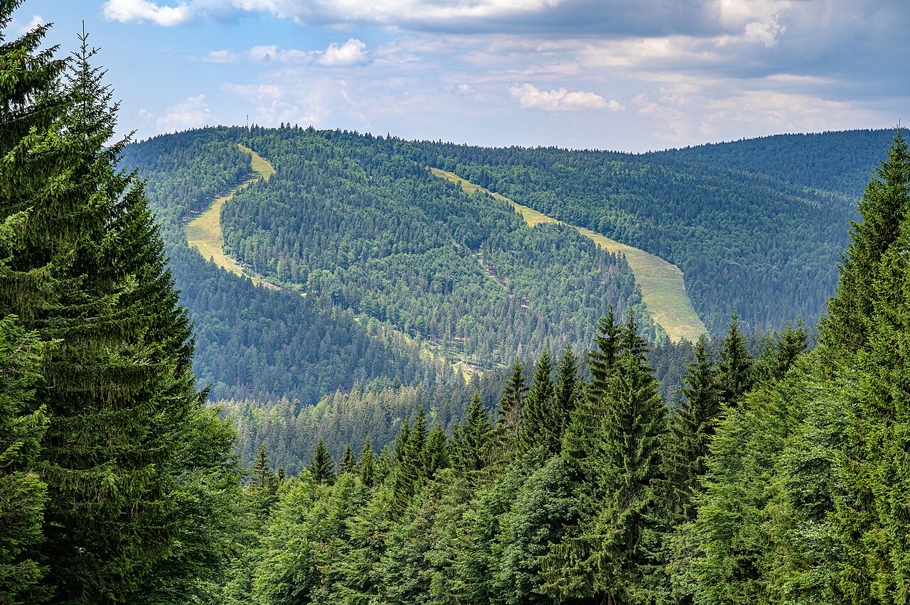 Zalesněný Zwieselberg u Schwarzenbergu am Böhmerwald v létě se dvěma zatravněnými průseky sjezdovek