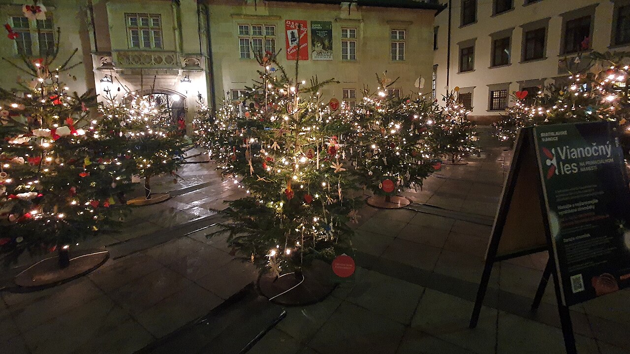 Vianočný les na Primaciálnom námestí v Bratislavě: ozdobené rozsvícené stromky před Primaciálním palácem a cedule s nápisem Vianočný les
